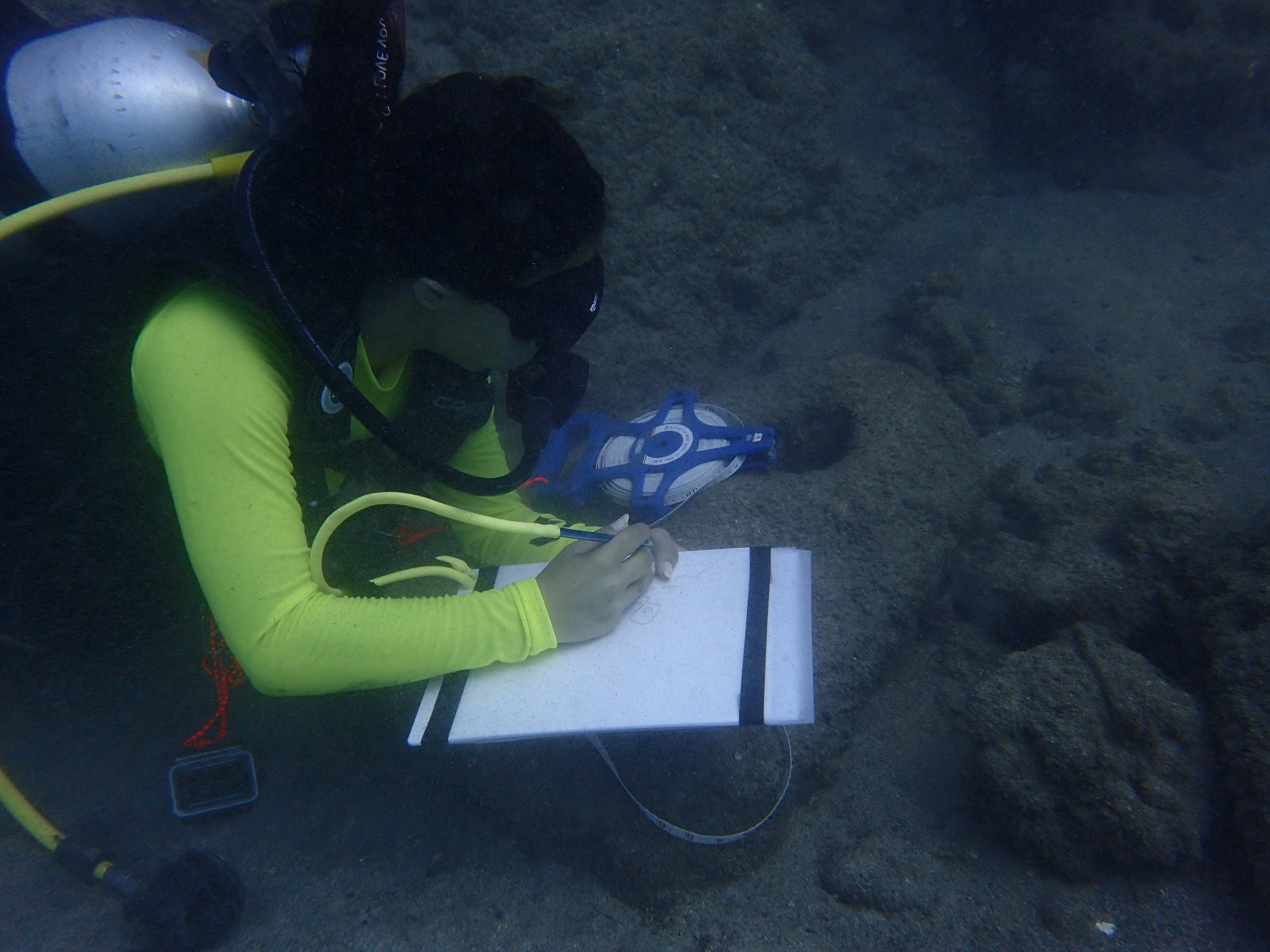 Underwater recording (photo - Dave Johnston)